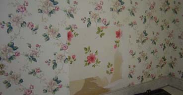 Ahh! Two layers of ugly wallpaper