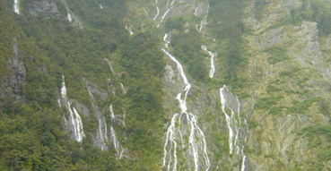 Some of the countless waterfalls in Milford Sound.