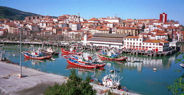 Bermeo's colorful harbor.