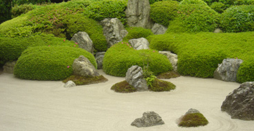 New landscaping fad, sand raking.