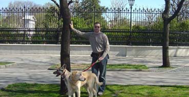 Eric and the dogs in along the Ringstrasse.