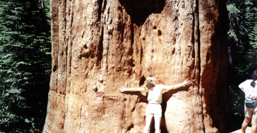 Sam shows her environmentalist roots as she hugs a giant sequoia.